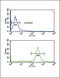 Fc Fragment Of IgG Receptor IIa antibody, 63-704, ProSci, Flow Cytometry image 