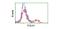 Folate Hydrolase 1 antibody, NBP2-73686, Novus Biologicals, Flow Cytometry image 