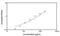 C-C Motif Chemokine Ligand 11 antibody, NBP1-92660, Novus Biologicals, Enzyme Linked Immunosorbent Assay image 