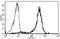 hAPN antibody, AM31221RP-N, Origene, Flow Cytometry image 