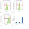 Mouse IgG1 antibody, MA5-16785, Invitrogen Antibodies, Flow Cytometry image 