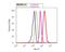 Vesicle Associated Membrane Protein 2 antibody, NB300-595, Novus Biologicals, Flow Cytometry image 