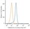 Tubulin antibody, NB600-506AF647, Novus Biologicals, Flow Cytometry image 