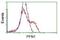 Profilin 1 antibody, NBP2-02577, Novus Biologicals, Flow Cytometry image 