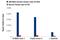 Protein kinase C-binding protein 1 antibody, 27945S, Cell Signaling Technology, Chromatin Immunoprecipitation image 