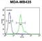 ER Membrane Protein Complex Subunit 3 antibody, abx032614, Abbexa, Western Blot image 