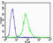 Fms Related Tyrosine Kinase 4 antibody, LS-B10499, Lifespan Biosciences, Flow Cytometry image 