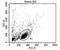 CD2 Molecule antibody, NBP2-22537, Novus Biologicals, Flow Cytometry image 