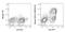 Lymphocyte Activating 3 antibody, GTX43144, GeneTex, Flow Cytometry image 
