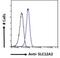 Solute Carrier Family 12 Member 2 antibody, NBP1-52148, Novus Biologicals, Flow Cytometry image 