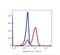 CD7 Molecule antibody, FC01974-1-FITC, Boster Biological Technology, Flow Cytometry image 