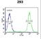 WD Repeat Domain 11 antibody, LS-C156866, Lifespan Biosciences, Flow Cytometry image 