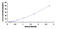 PRKCA antibody, MBS2021647, MyBioSource, Enzyme Linked Immunosorbent Assay image 