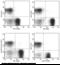 CD3 antibody, 10977-M001-C, Sino Biological, Flow Cytometry image 