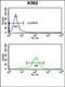 Centromere Protein A antibody, orb235090, Biorbyt, Flow Cytometry image 