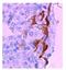 C-C motif chemokine 20 antibody, DDX0431P-100, Novus Biologicals, Immunohistochemistry paraffin image 