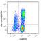 Interferon Gamma antibody, 502541, BioLegend, Immunocytochemistry image 