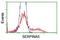 Serpin Family A Member 5 antibody, NBP2-01833, Novus Biologicals, Flow Cytometry image 