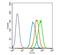 Elastin antibody, PA5-72440, Invitrogen Antibodies, Flow Cytometry image 