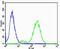 Cannabinoid Receptor 2 antibody, 55-328, ProSci, Flow Cytometry image 