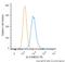 KI-67 antibody, NB110-89717, Novus Biologicals, Flow Cytometry image 