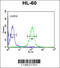 Major Histocompatibility Complex, Class II, DR Alpha antibody, 62-474, ProSci, Flow Cytometry image 