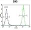 Olfactory Receptor Family 10 Subfamily H Member 1 antibody, abx025952, Abbexa, Western Blot image 