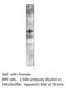 G Protein-Coupled Receptor 3 antibody, MBS540637, MyBioSource, Western Blot image 
