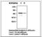 Protein Tyrosine Phosphatase Non-Receptor Type 6 antibody, LS-B6263, Lifespan Biosciences, Western Blot image 