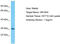 Olfactory Receptor Family 10 Subfamily H Member 4 antibody, TA332323, Origene, Western Blot image 