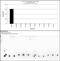Histone Cluster 4 H4 antibody, 710809, Invitrogen Antibodies, Dot Blot image 