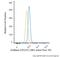 Sulfatase 2 antibody, NBP1-36727AF488, Novus Biologicals, Flow Cytometry image 