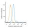 Small Ubiquitin Like Modifier 2 antibody, NBP2-34717APC, Novus Biologicals, Flow Cytometry image 