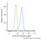 iNOS antibody, NBP2-22119, Novus Biologicals, Flow Cytometry image 