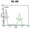 GDA antibody, abx034480, Abbexa, Western Blot image 