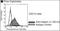 Integrin Subunit Alpha 7 antibody, orb195454, Biorbyt, Western Blot image 