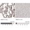 SMAD Family Member 7 antibody, NBP1-87728, Novus Biologicals, Immunohistochemistry paraffin image 