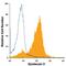 Syndecan 3 antibody, FAB3539A, R&D Systems, Flow Cytometry image 