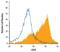 CD99 Molecule (Xg Blood Group) antibody, PA5-47551, Invitrogen Antibodies, Flow Cytometry image 