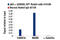 Tumor Protein P63 antibody, 13109S, Cell Signaling Technology, Chromatin Immunoprecipitation image 