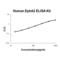 EPH Receptor A2 antibody, EK1797, Boster Biological Technology, Enzyme Linked Immunosorbent Assay image 