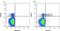 Beta-1,3-Glucuronyltransferase 1 antibody, MCA1305GA, Bio-Rad (formerly AbD Serotec) , Immunohistochemistry frozen image 