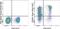 Selectin L antibody, 63-0621-80, Invitrogen Antibodies, Flow Cytometry image 