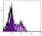 Killer Cell Lectin Like Receptor G1 antibody, NBP1-28115, Novus Biologicals, Flow Cytometry image 