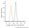 Cyclin Dependent Kinase Inhibitor 1B antibody, NBP2-44497PE, Novus Biologicals, Flow Cytometry image 