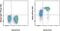 IKAROS Family Zinc Finger 3 antibody, 50-5789-82, Invitrogen Antibodies, Flow Cytometry image 