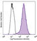 CD63 Molecule antibody, 143904, BioLegend, Flow Cytometry image 