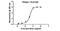 Goat IgG antibody, A27021, Invitrogen Antibodies, Enzyme Linked Immunosorbent Assay image 