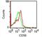 Neural Cell Adhesion Molecule 1 antibody, 33-178, ProSci, Flow Cytometry image 