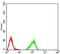 Histone Cluster 4 H4 antibody, NBP2-52488, Novus Biologicals, Flow Cytometry image 